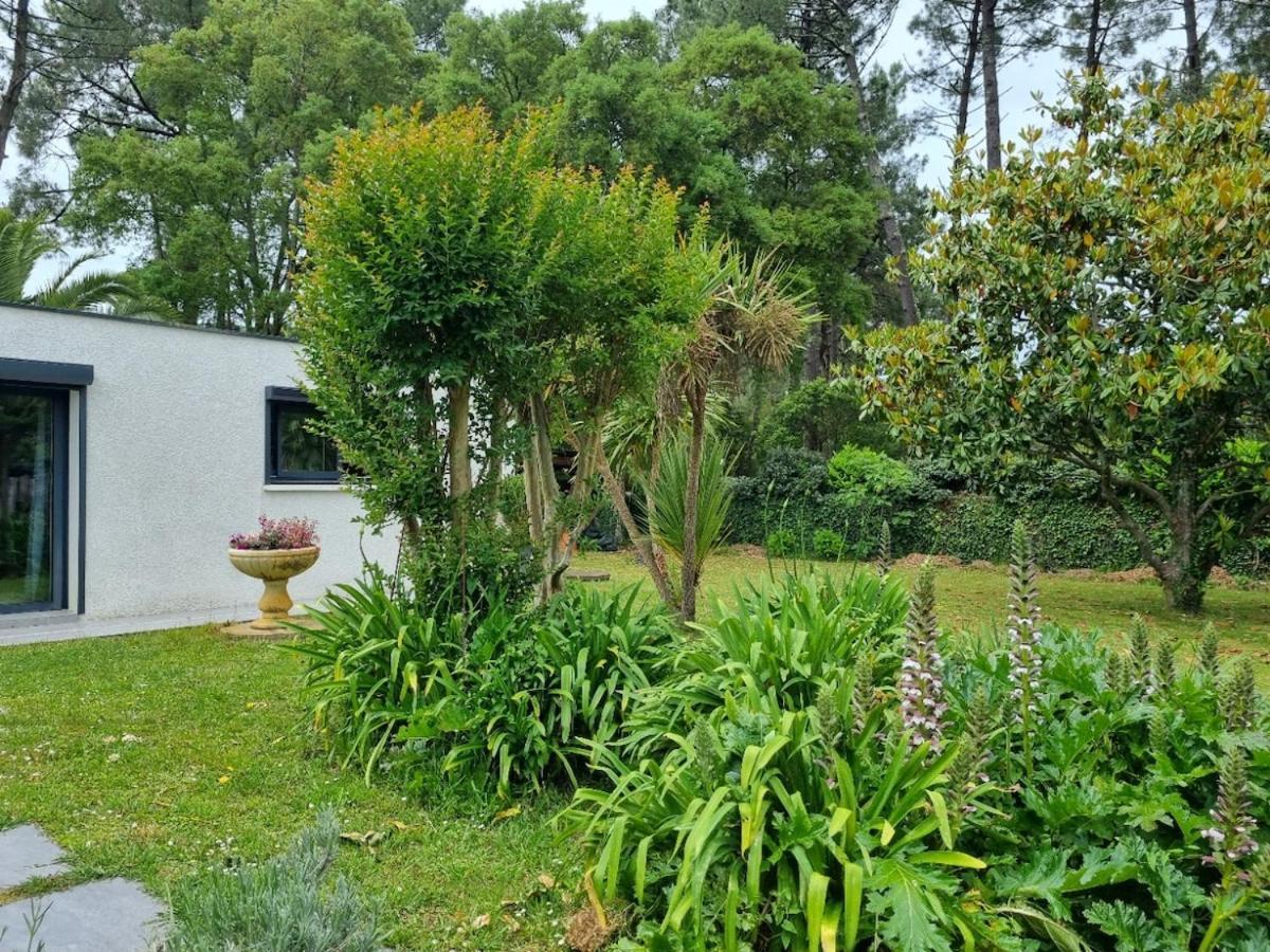 House With Heated Pool And Jacuzzi Villa Soorts-Hossegor Exterior photo